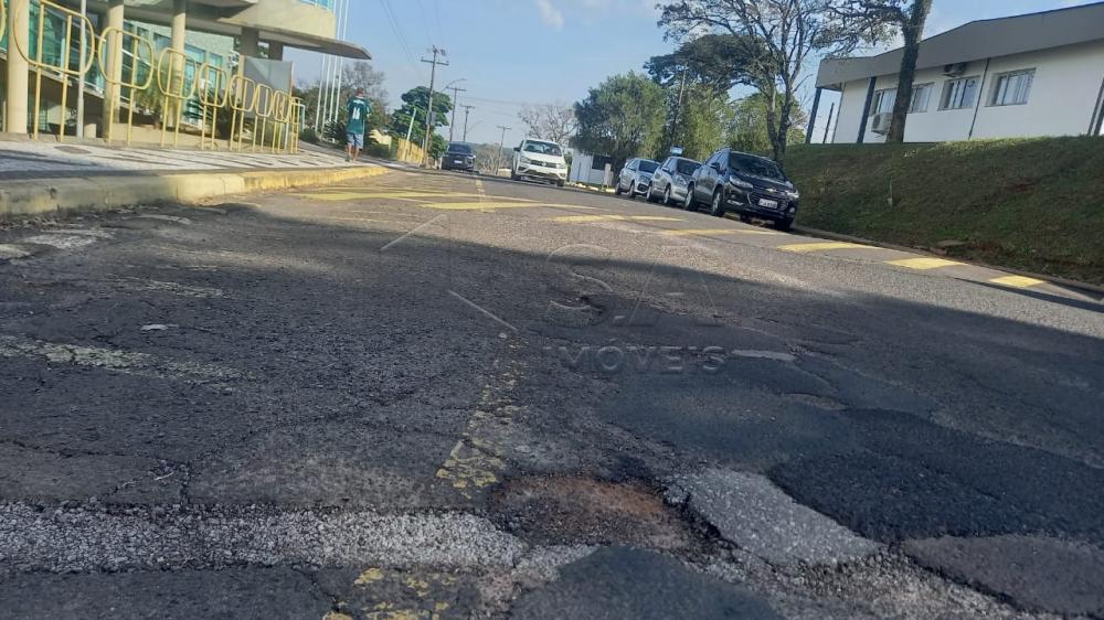 Campus da Fazenda Lageado e de Rubio Jnior sero asfaltados pela Unesp